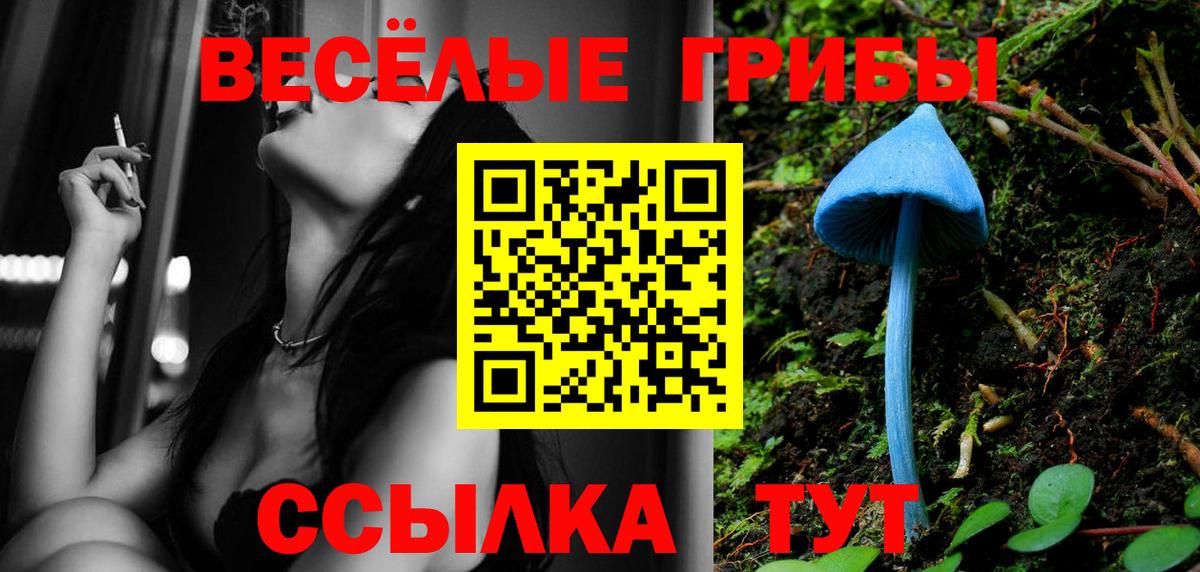 Каменка  Псилоцибиновые грибы Magic Shrooms  Вход с VPN 